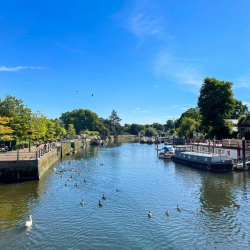 Offices at One Phoenix Wharf, Eel Pie Island
