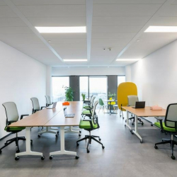 Executive suites to let in Bucharest