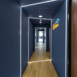 Serviced offices to let in Madrid