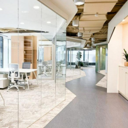 Executive suites to let in Madrid