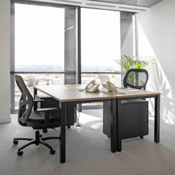 Executive suites in central Madrid