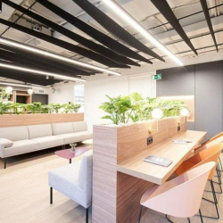 Executive office in Madrid