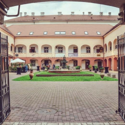 Executive offices to lease in Timisoara