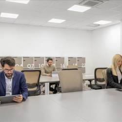 Executive suites to lease in Trieste