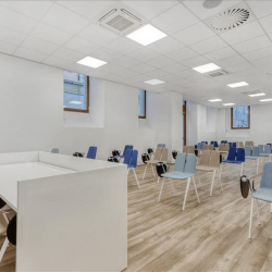 Executive suite to lease in Trieste