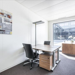 Executive suites to lease in Nyon