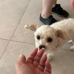 Lisbon executive office centre