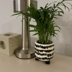 Rua José Estêvão 25C office spaces