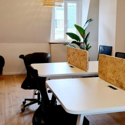 Executive suites to lease in Brussels