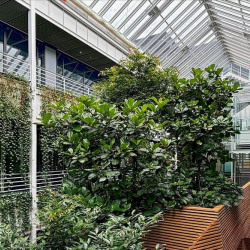 Serviced offices to rent in 
