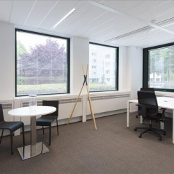 Executive suites to let in Hoofddorp
