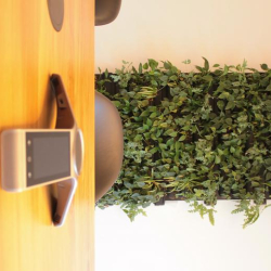 Interior of  Schackstraße 8