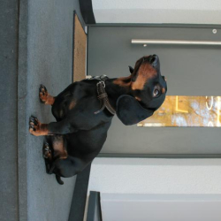 Image of Hanover serviced office