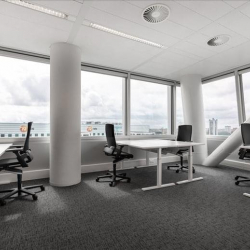 The Hague executive office