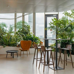 Utrecht office suite
