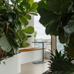 Serviced offices to rent in 