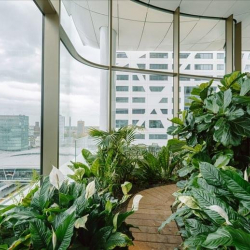 Serviced offices to rent in 
