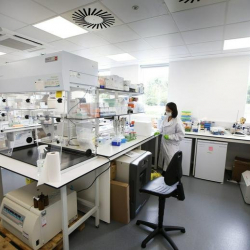Offices at Stansfield Park, Quarry Road, Wood Centre for Innovation