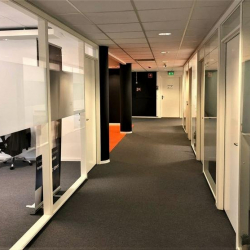 Oslo office suite