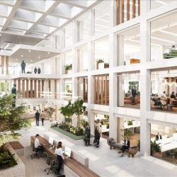 Executive suites to lease in Amsterdam