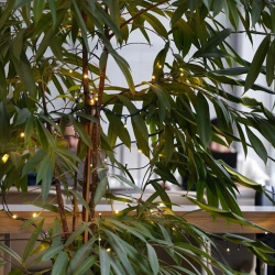 Executive suite in Thessaloniki