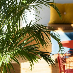 Zurich serviced office centre