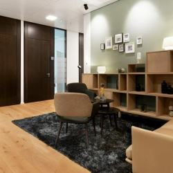 Executive office centre to lease in Frankfurt