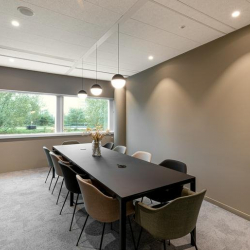 Hoofddorp executive office
