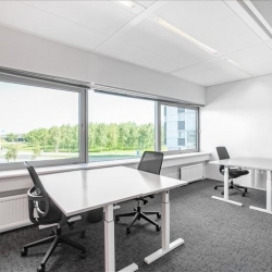 Executive offices to rent in Schiphol