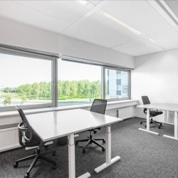 Office suites to rent in Schiphol