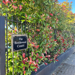 Office space - Bromley (London)