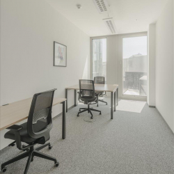 THE ICON VIENNA, Tower 24, 3rd Floor Wiedner Gürtel 13 serviced offices