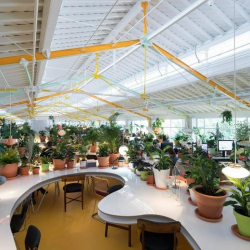 Serviced office - Lisbon