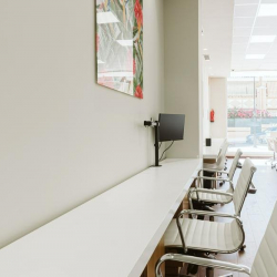 Marbella serviced office