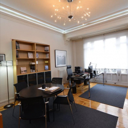 Executive suites in central Madrid