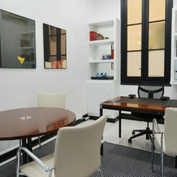 Executive suites in central Madrid