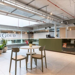 Executive offices to lease in Arnhem