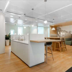 Executive suite in Assago