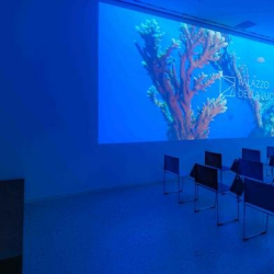 Exterior view of via San Nicolò, 42, Palazzo della Luce