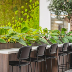 Image of Rijswijk executive office centre