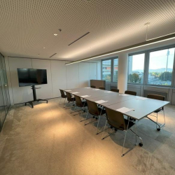 Vienna executive suite