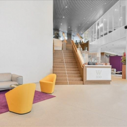 Executive office in Rotterdam