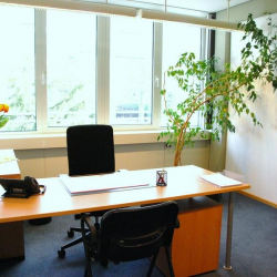 Mainz executive office