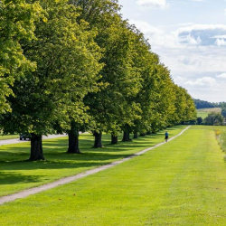 Exterior image of Wrest Park, Silsoe, Bedford