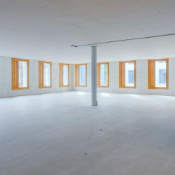 Serviced office centres to let in Schlieren