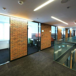 Executive office centres in central Warsaw