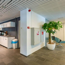 Executive office to let in Rotterdam