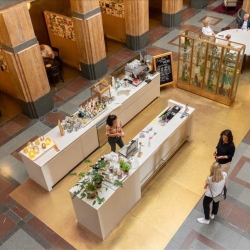 Serviced office - The Hague