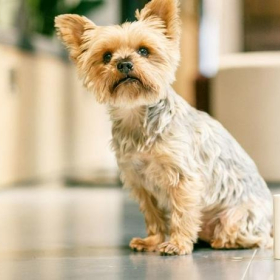 17 Heneage Street, Huguenot Place. Click for details.