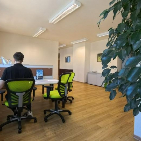 Executive offices in central Wien. Click for details.